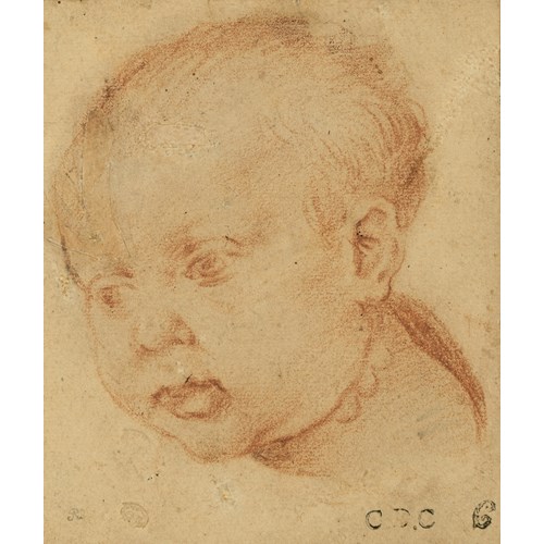 The Head of a Young Child